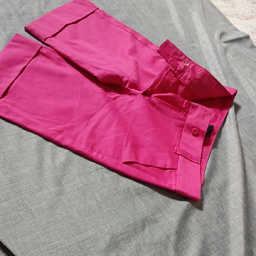 The Limited Women's Fuchsia Shorts
